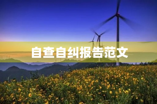 自查自纠报告范文