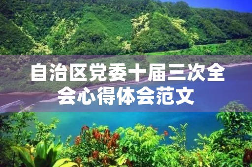自治区党委十届三次全会心得体会范文