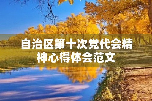 自治区第十次党代会精神心得体会范文