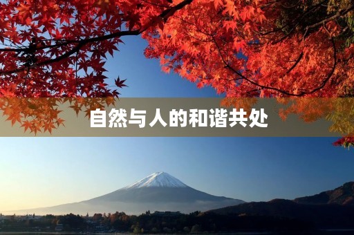 自然与人的和谐共处