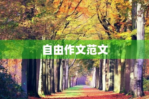 自由作文范文 自由作文范文