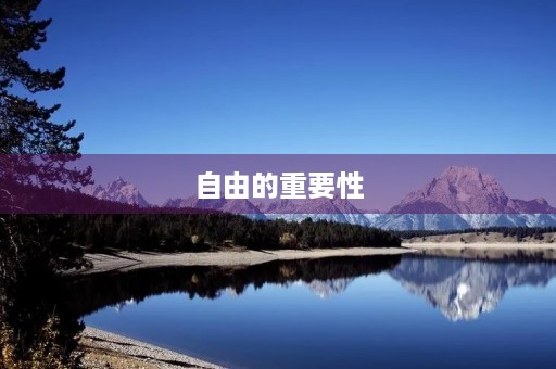 自由的重要性 自由的重要性