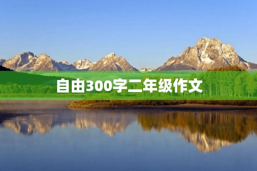 自由300字二年级作文