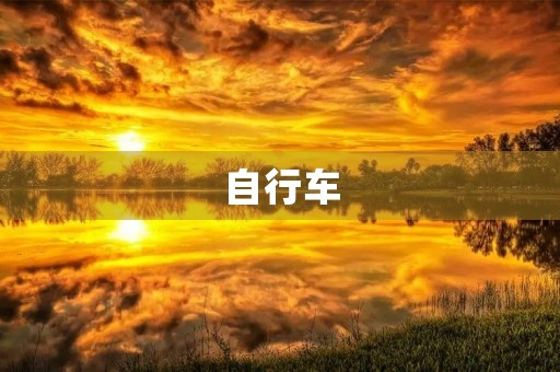 自行车 自行车