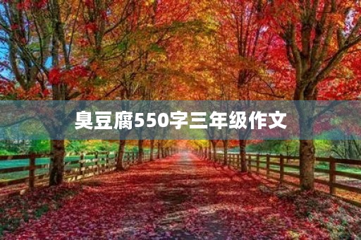 臭豆腐550字三年级作文 臭豆腐550字三年级作文