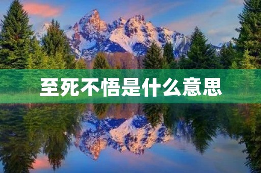 至死不悟是什么意思