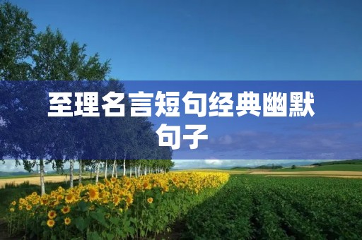 至理名言短句经典幽默句子，至理名言短句经典幽默句子大全