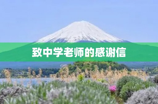 致中学老师的感谢信 致中学老师的感谢信