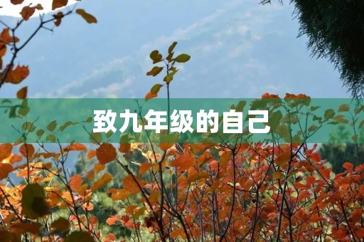 致九年级的自己 致九年级的自己