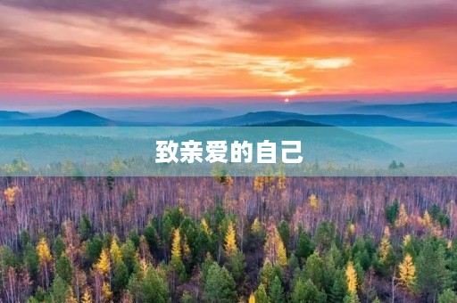 致亲爱的自己，17岁
