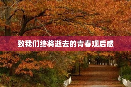 致我们终将逝去的青春观后感