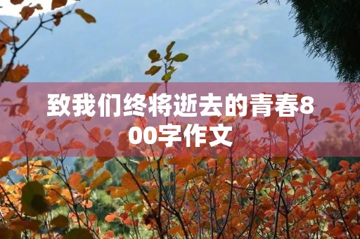 致我们终将逝去的青春800字作文 致我们终将逝去的青春800字作文