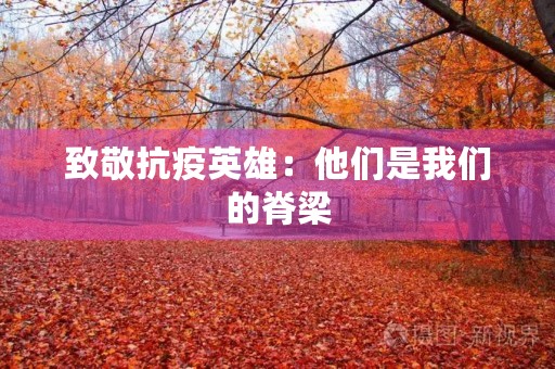 致敬抗疫英雄:他们是我们的脊梁 致敬抗疫英雄:他们是我们的脊梁