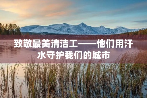 致敬最美清洁工——他们用汗水守护我们的城市 致敬最美清洁工——他们用汗水守护我们的城市