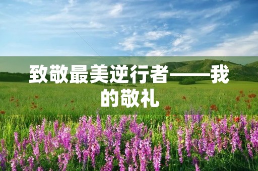 致敬最美逆行者——我的敬礼 致敬最美逆行者——我的敬礼