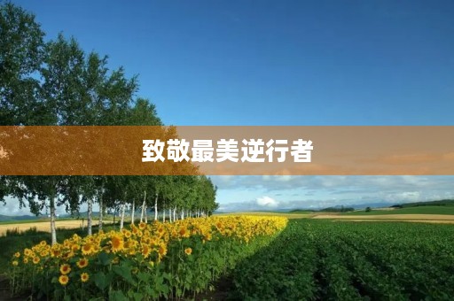 致敬最美逆行者