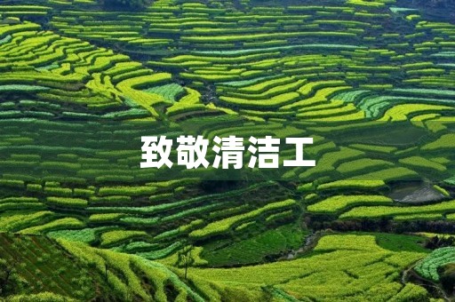 致敬清洁工