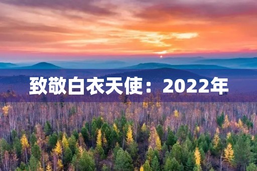 致敬白衣天使:2022年,我们的感恩之心从未停歇 致敬白衣天使:2022年,我们的感恩之心从未停歇
