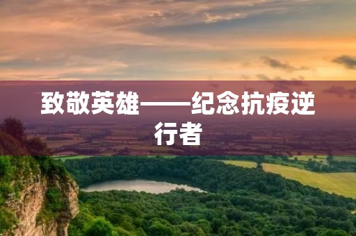 致敬英雄——纪念抗疫逆行者 致敬英雄——纪念抗疫逆行者