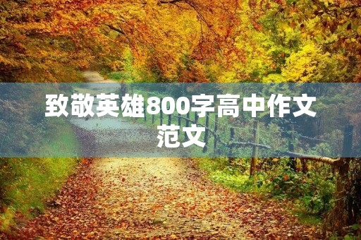 致敬英雄800字高中作文范文 致敬英雄800字高中作文范文