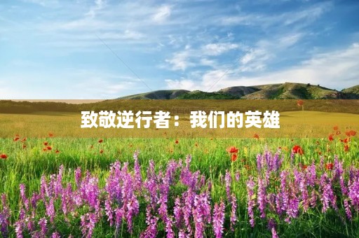 致敬逆行者:我们的英雄 致敬逆行者:我们的英雄