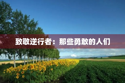 致敬逆行者：那些勇敢的人们