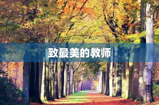 致最美的教师