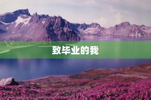 致毕业的我
