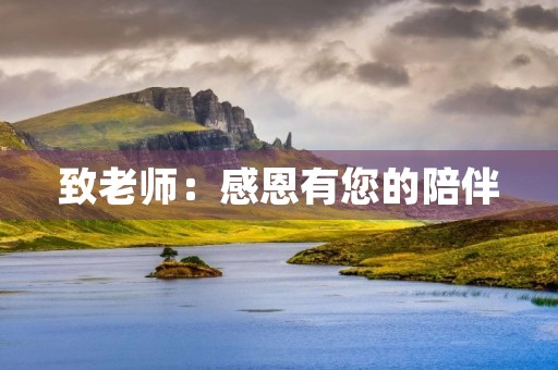 致老师：感恩有您的陪伴