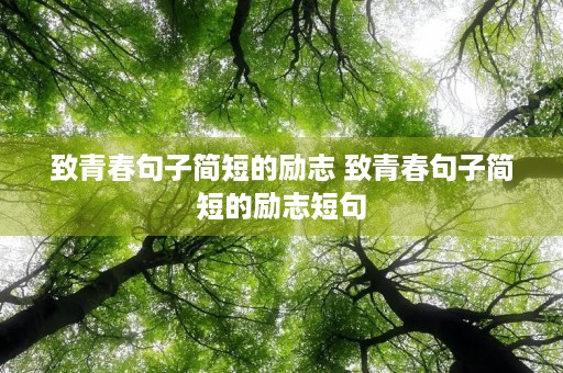 致青春句子简短的励志 致青春句子简短的励志短句 致青春句子简短的励志 致青春句子简短的励志短句