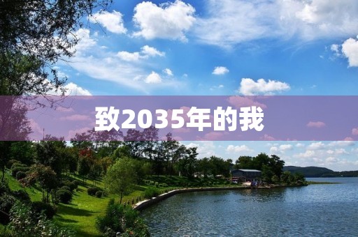 致2035年的我