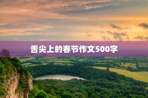 舌尖上的春节作文500字 舌尖上的春节作文500字