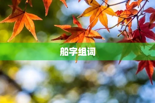船字组词(船组词)