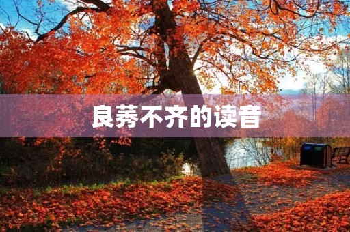 良莠不齐的读音