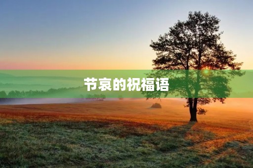 节哀的祝福语(祝人节哀顺变的话)