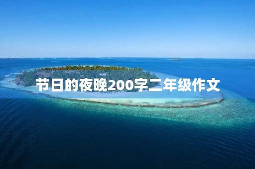 节日的夜晚200字二年级作文