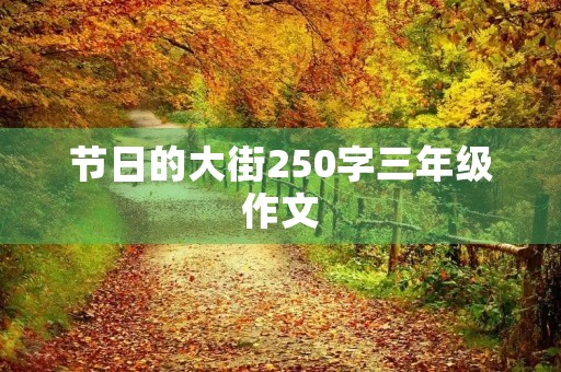 节日的大街250字三年级作文 节日的大街250字三年级作文
