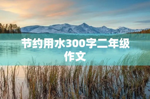 节约用水300字二年级作文