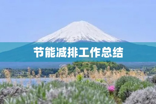 节能减排工作总结