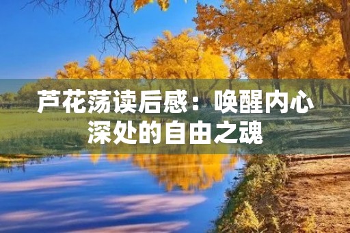 芦花荡读后感：唤醒内心深处的自由之魂