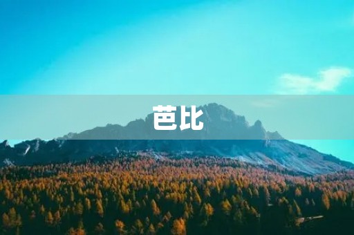 芭比,我的最爱 芭比,我的最爱