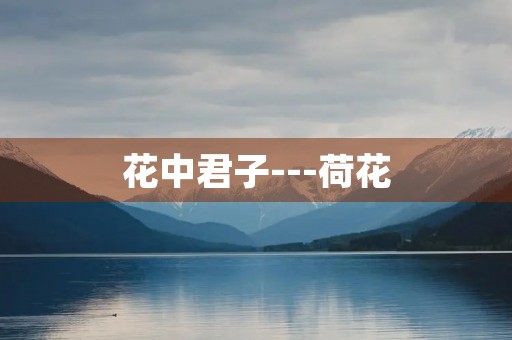 花中君子---荷花 花中君子---荷花