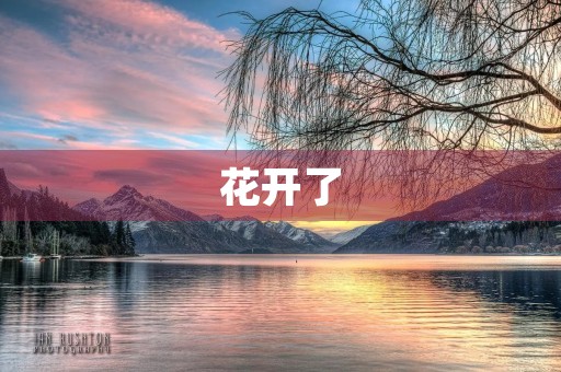花开了 花开了