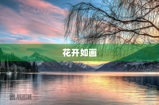 花开如画，美丽绽放