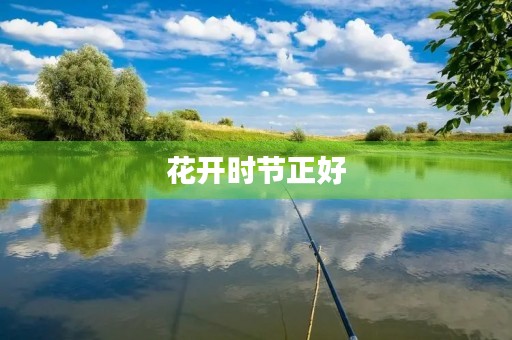 花开时节正好，写给春天的一封信