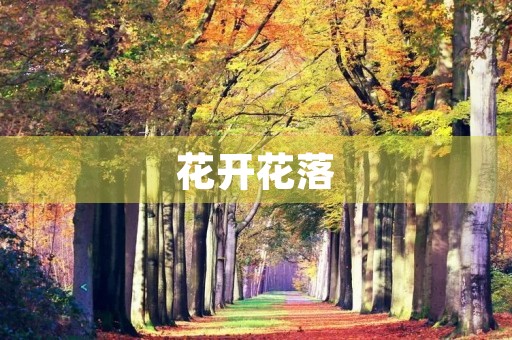 花开花落，岁月如歌