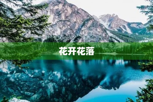 花开花落，花之歌