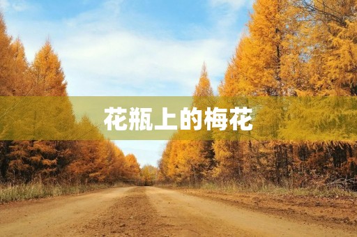 花瓶上的梅花 花瓶上的梅花