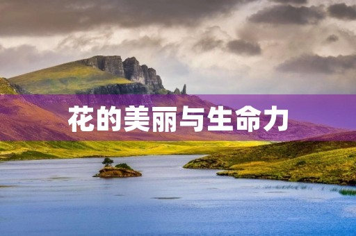 花的美丽与生命力 花的美丽与生命力