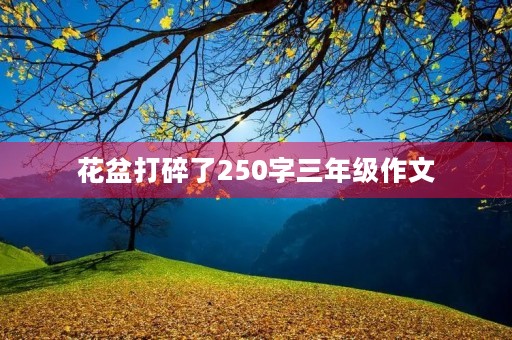 花盆打碎了250字三年级作文 花盆打碎了250字三年级作文